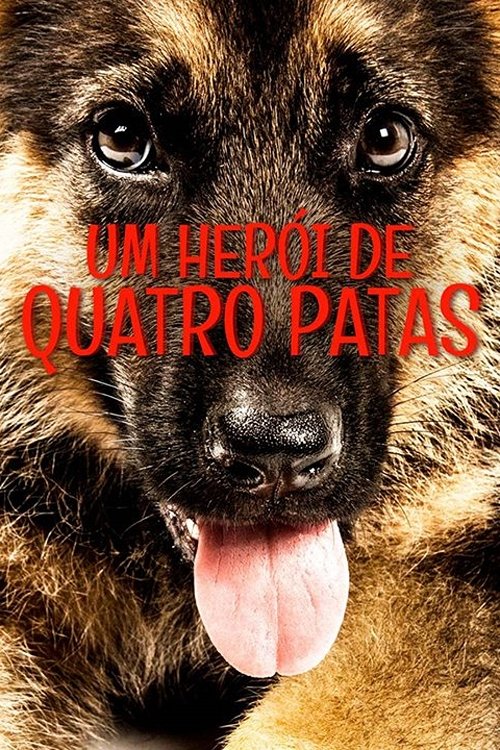 Pôster de Um Herói de Quatro Patas