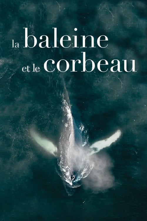 La baleine et le corbeau (2019)