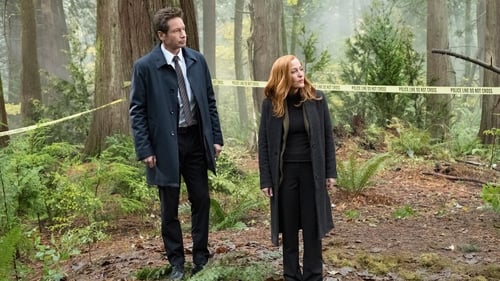 Image The X-Files