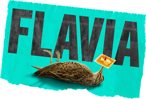 Flavia (2026)