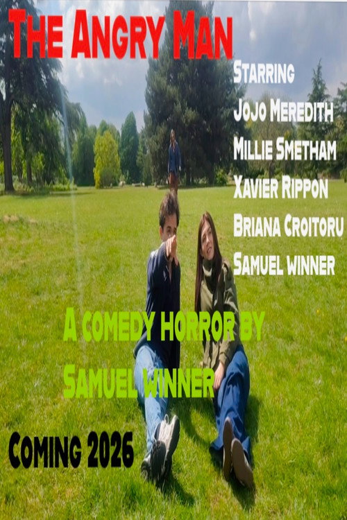 The Angry Man poster