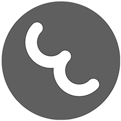 eMusePictures logo