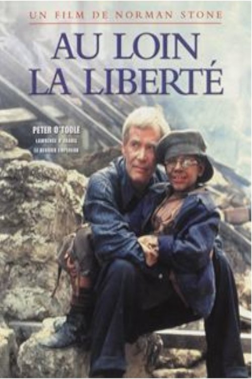Crossing to Freedom movie poster player