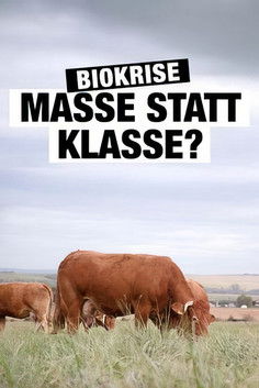 Bio, la crise de foi