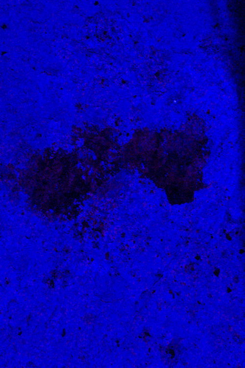 coisas estranhas só acontecem a noite