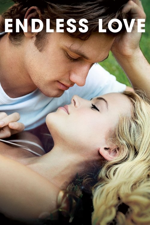 Grootschalige poster van Endless Love