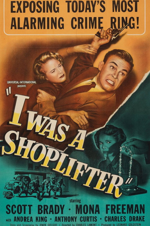I Was a Shoplifter poster