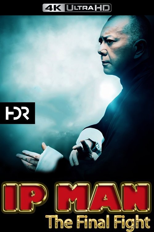 Ip Man: The Final Fight poster