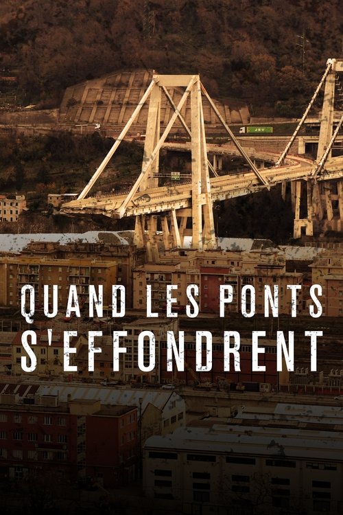 Genoa Bridge Disaster