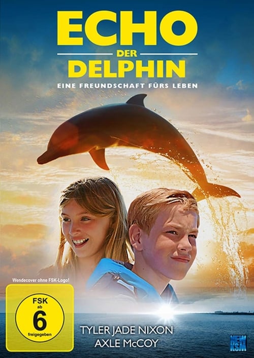 Dolphin Kick poster