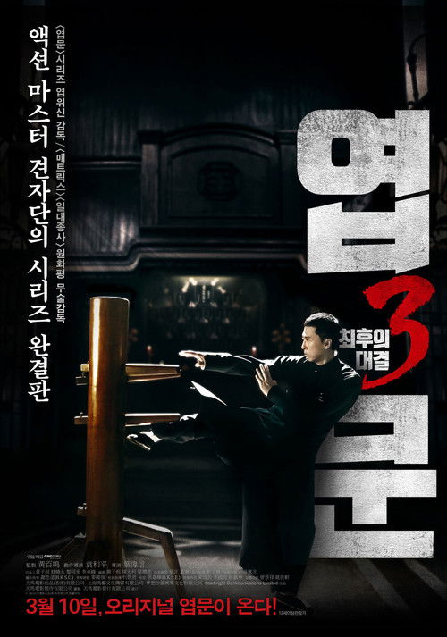 Ip Man 3 poster
