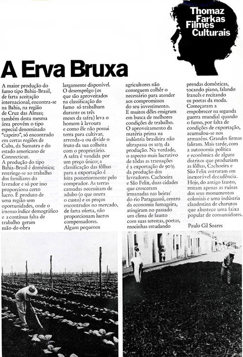 Póster oficial de A Erva Bruxa (1970)