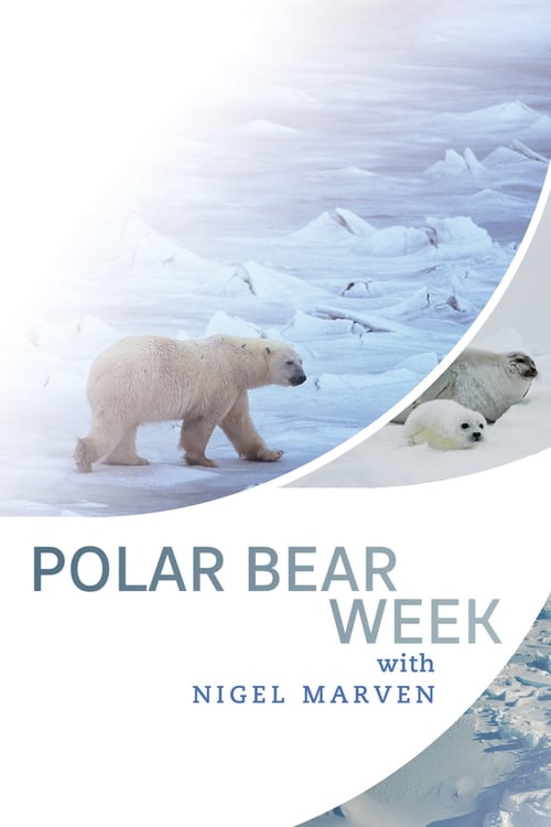 Poster Polar Bear Week with Nigel Marven