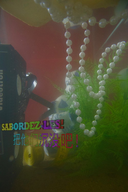 SABORDEZ-LES! poster