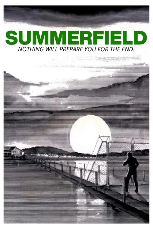 Summerfield (1977) poster