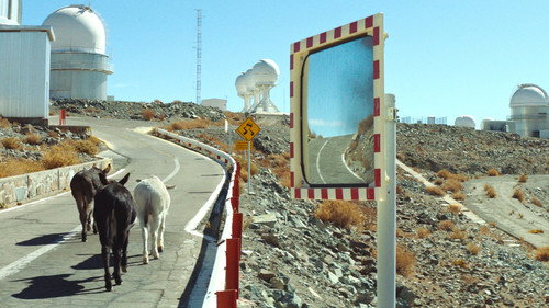 Perfectly a Strangeness