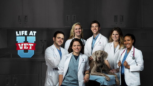 Life at Vet U