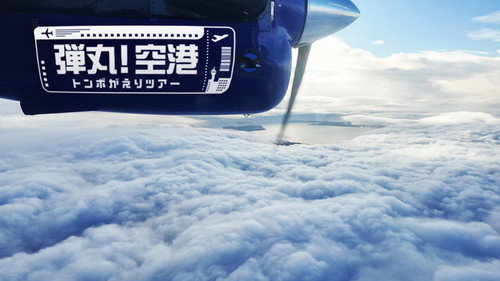弾丸！空港トンボがえりツアー