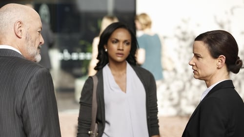 Secrets and Lies: 2×9