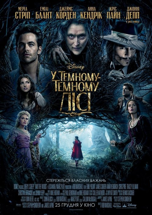 У темному-темному лісі / Into the Woods (2014) TMDB poster