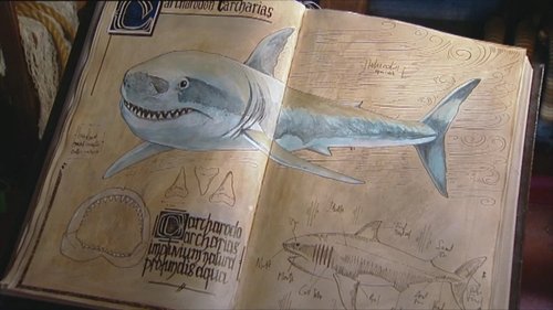 Image de l'épisode 3