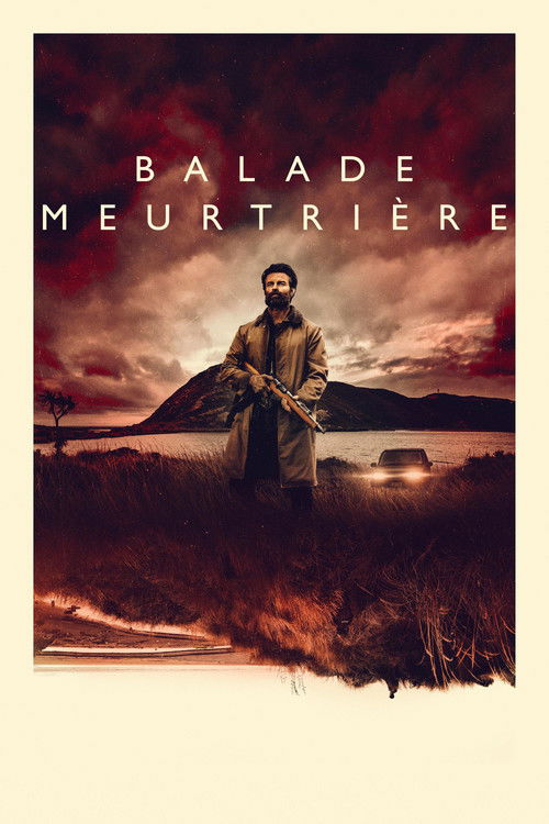 Coming Home in the Dark poster