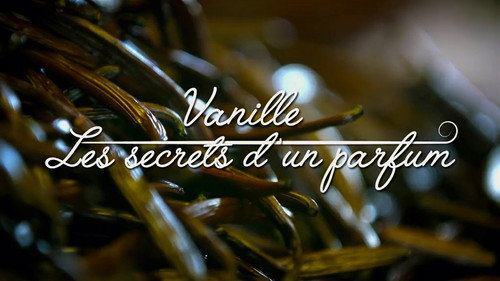 Image Vanille, les secrets d'un parfum