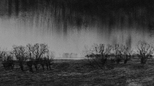 Fugue for Cello, Trumpet and Landscape still