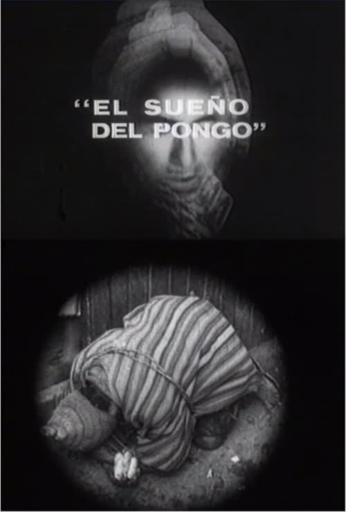 El sueño del pongo poster