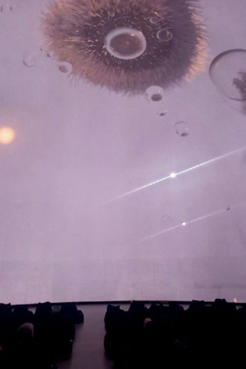 Across the Lake/Kòe Ô͘