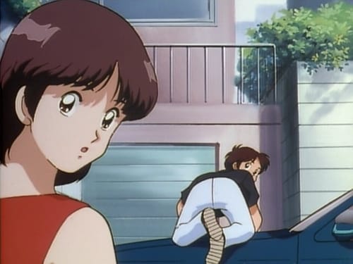 Ｈ２[エイチ・ツー], S01E20 - (1995)