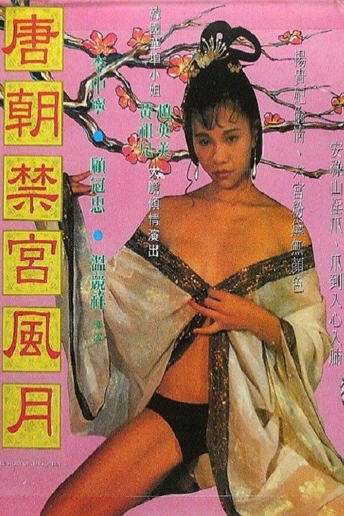 唐朝禁宫风月 (1993) poster