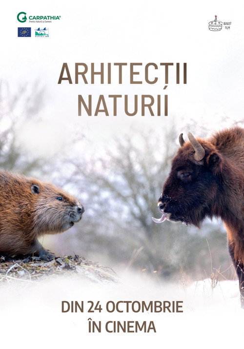 Nature's Architects movie poster