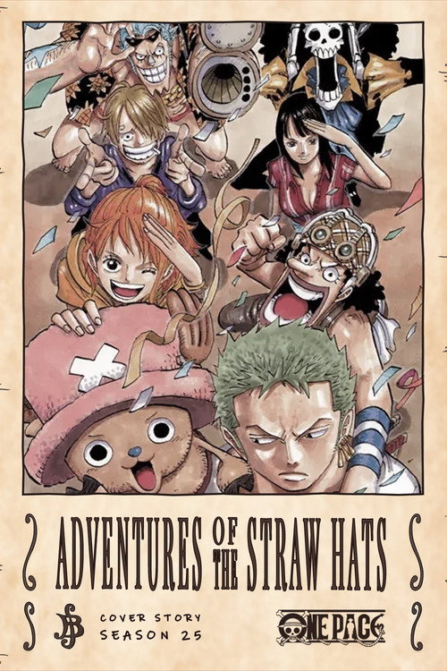 If You Could Go Anywhere... The Adventures of the Straw Hats