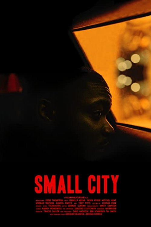 Small City (WEBRIP LD) 2021 Small City (WEBRIP LD) 2021