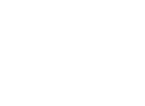 45 Days