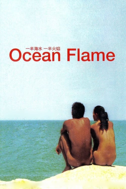Poster 一半海水一半火焰 2008