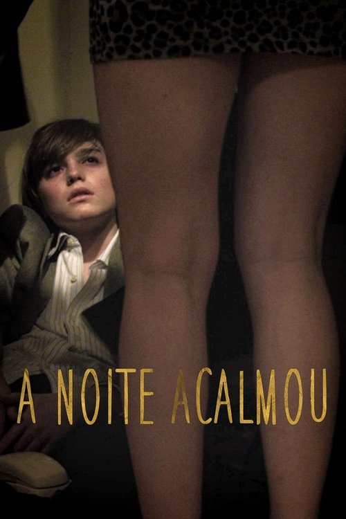 Pôster de A Noite Acalmou