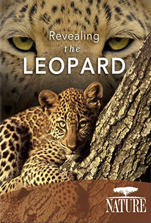 Revealing the Leopard