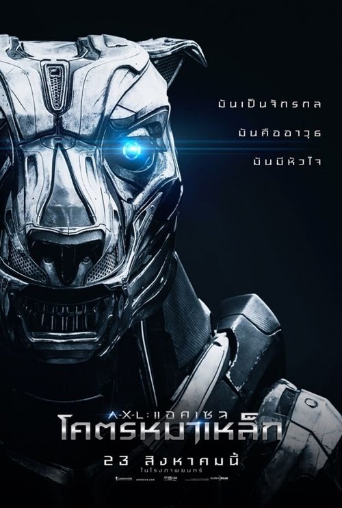 Posters