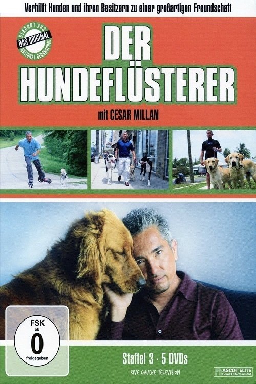 Staffel 3