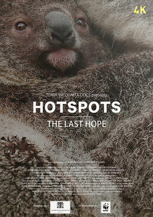 Hotspots: la última esperanza - DİZİ Afişi
