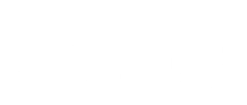 Świry