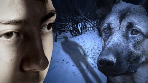 Crime - L'Affaire Du Petit Luca