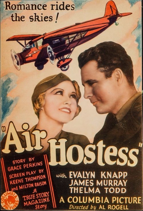 Air Hostess movie poster player