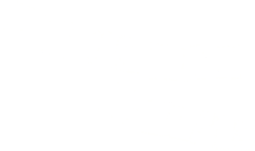 Dream Wife