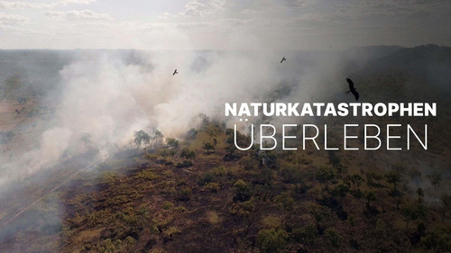 Naturkatastrophen: Wie Tiere und Pflanzen überleben Bild 3