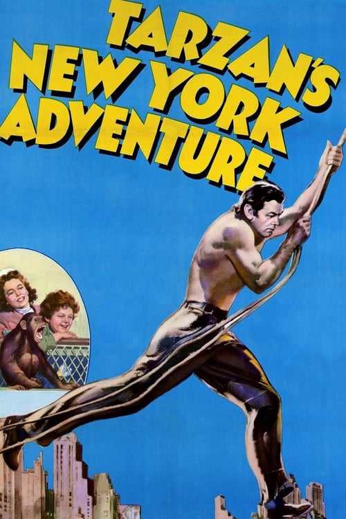 Tarzan's New York Adventure Movie Poster Image