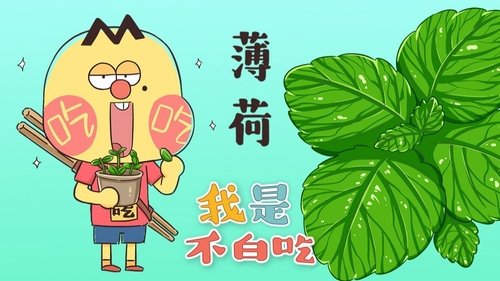 Épisode 17