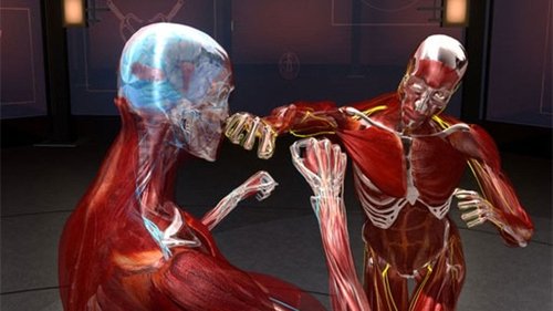 Fight Science Fight Science